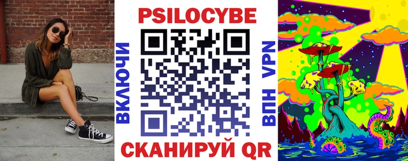 закладки  Пошехонье  Псилоцибиновые грибы ЛСД 