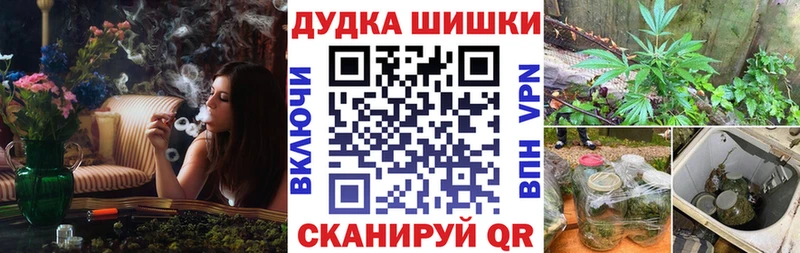 Бошки марихуана планчик  где можно купить наркотик  Пошехонье 